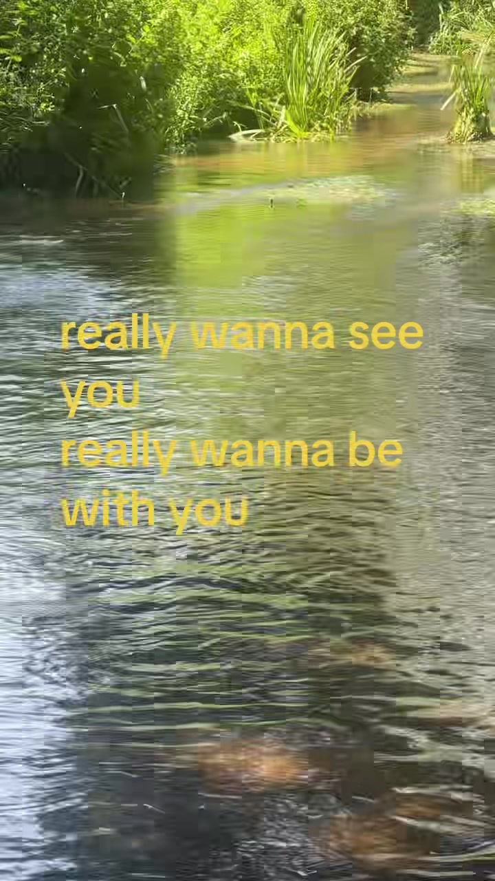 @grapefruitufo