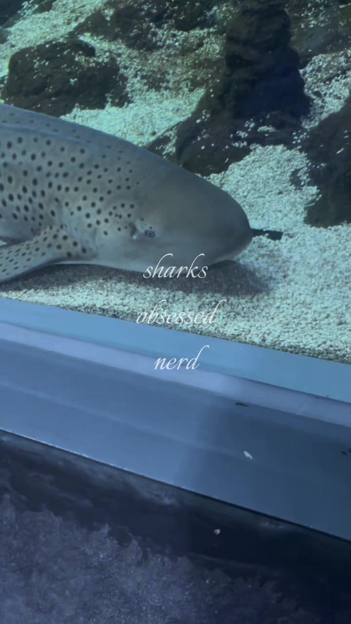 @Nela ⋆˚🧟&zwj;♀️ ꩜˚⋆｡˚✧･ﾟᖭི༏ᖫྀ