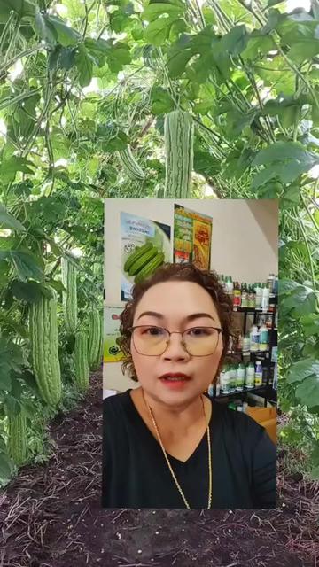 @ร้านซันเกษตร