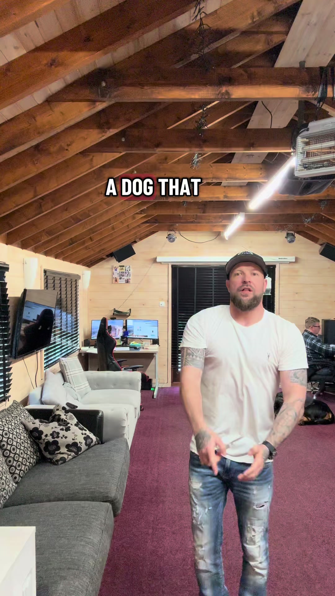 @SouthendDogTraining