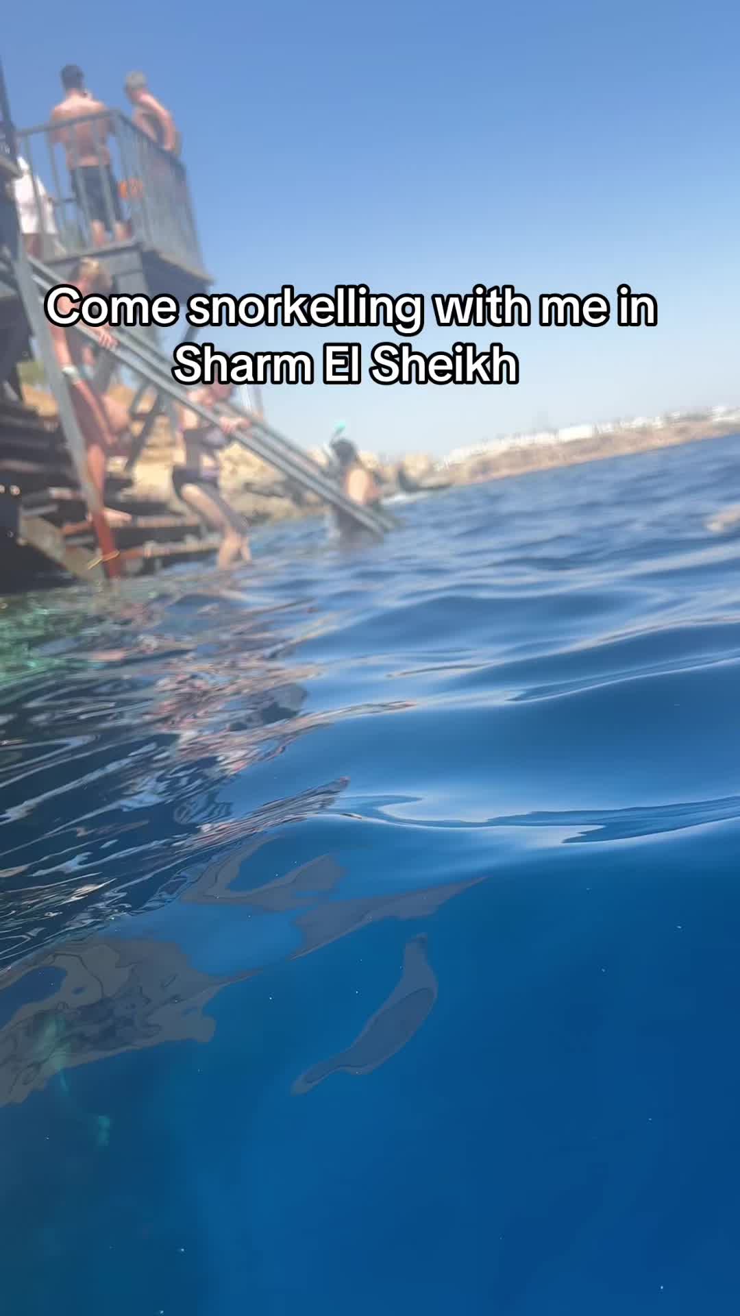 @Her Travels & Tails