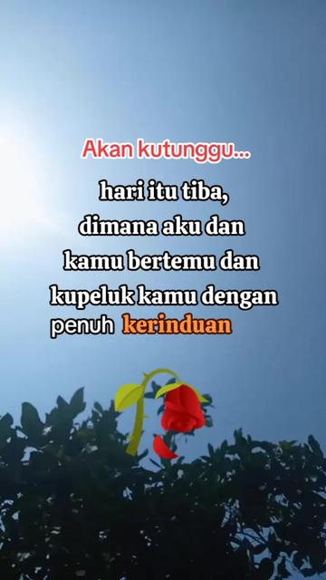 @🥀mengunjungi.profilmu🫵