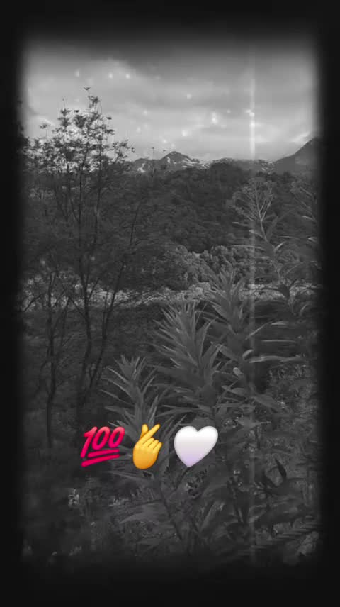 @TEKOโ๏ธ๐ฆ๐ค๐ฌ๐ช๐ฌ๐ท