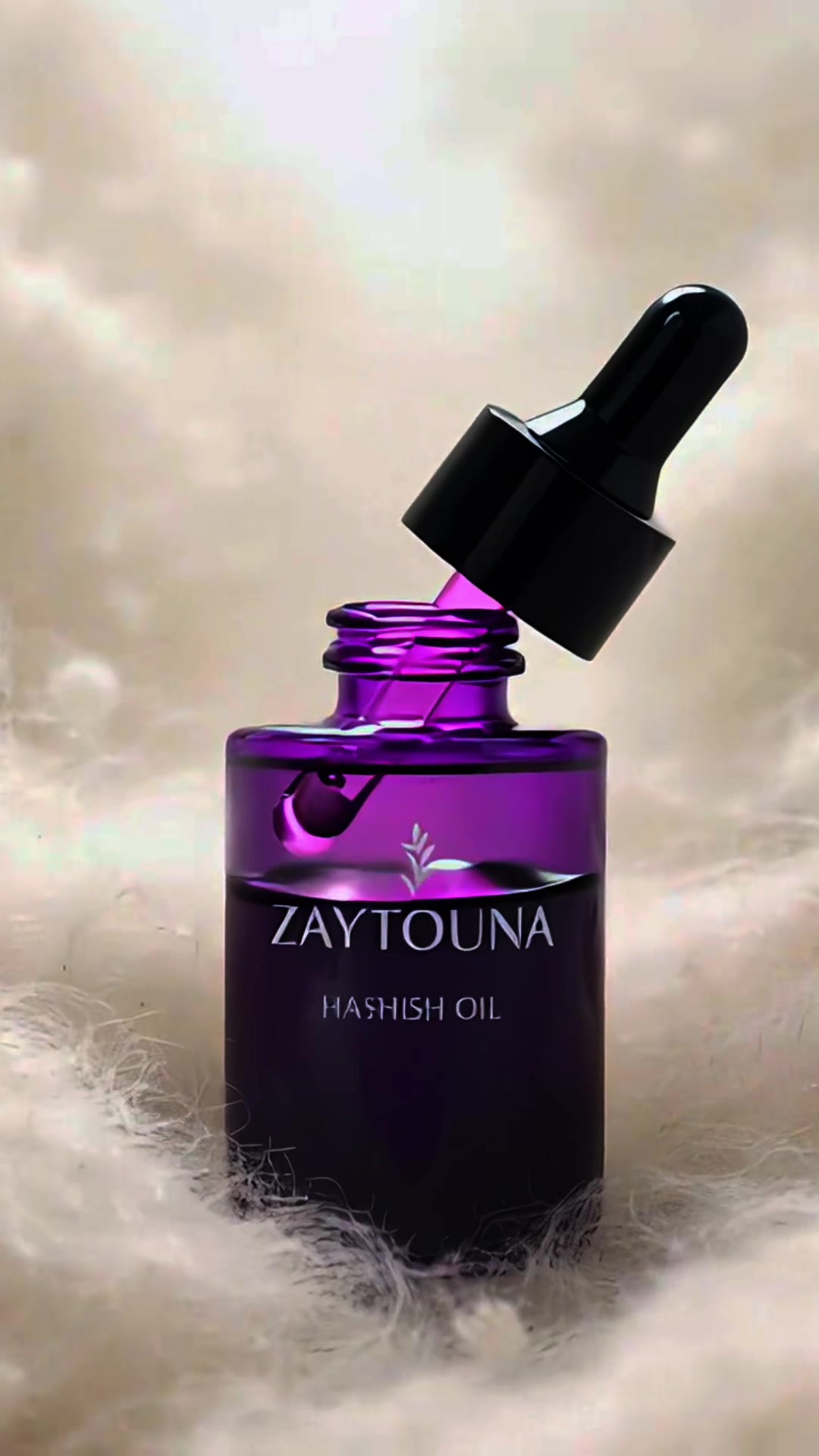 @zaytounahouse