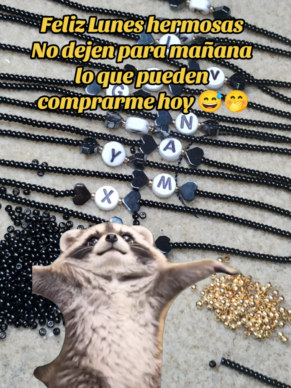 @reynavazquez