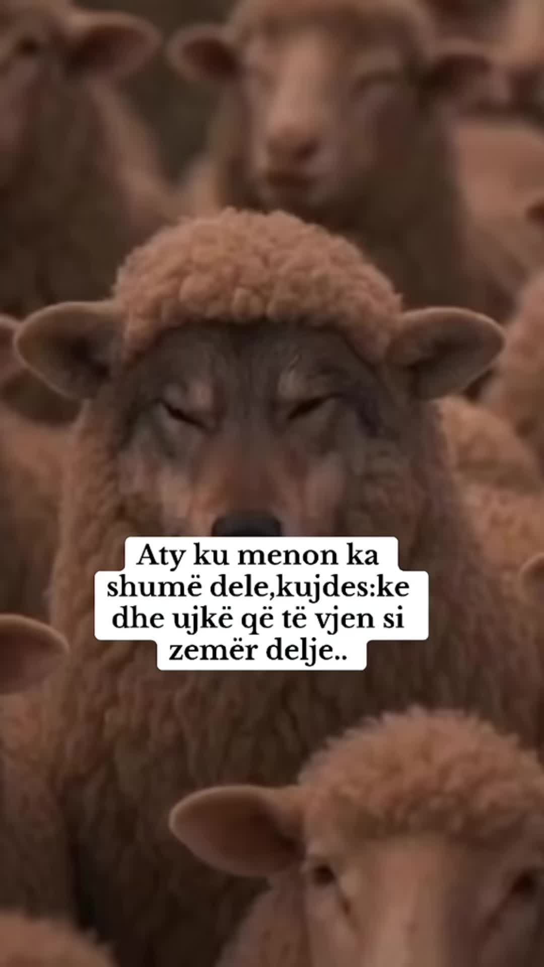 @Vdes per këto te dyja😻😻