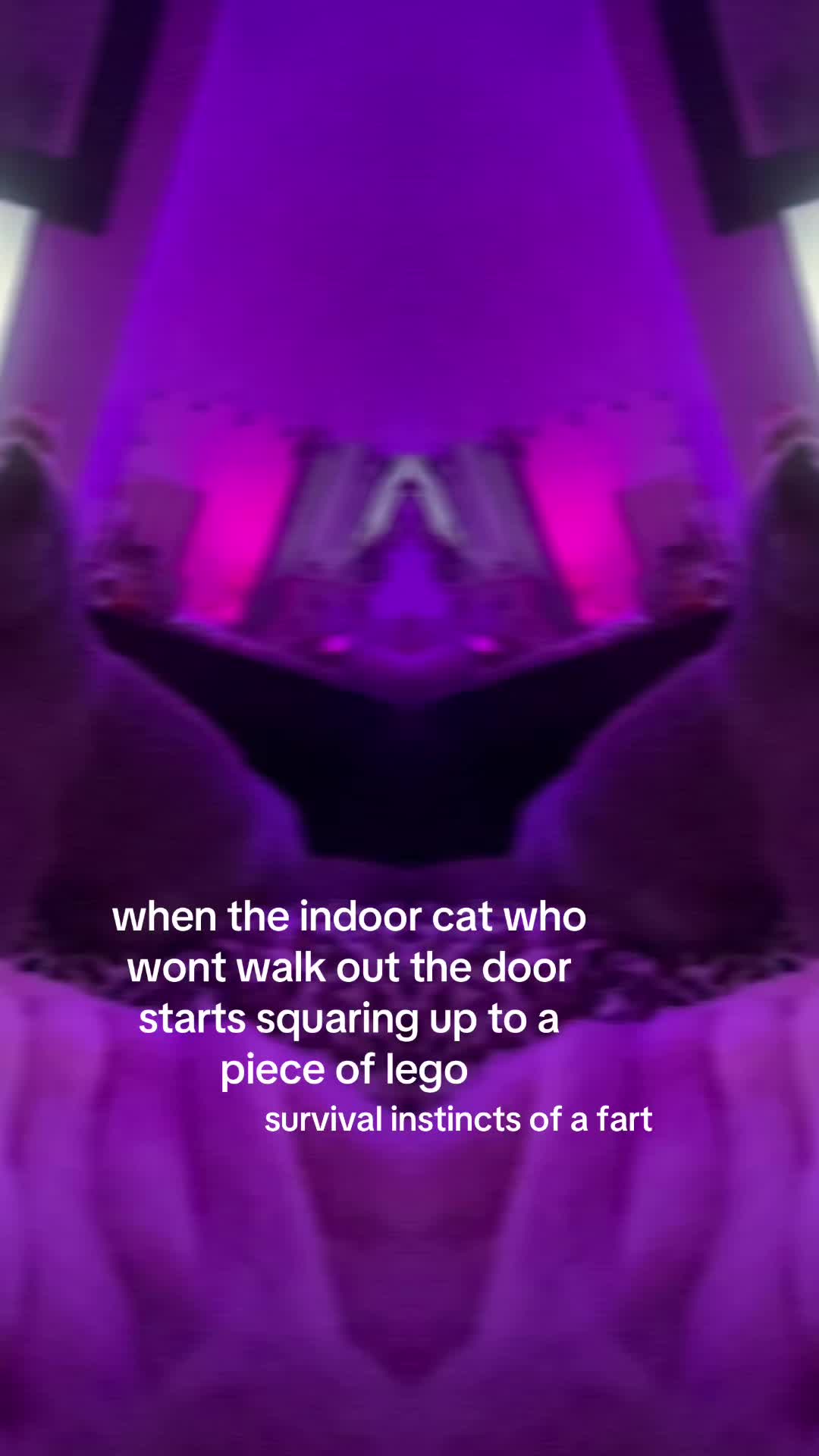 @probseatingtakis