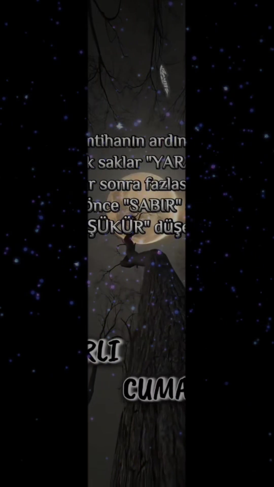 @✎﹏﹏☞ᴇꜱᴍᴇʀʙᴇʏ﹏﹏