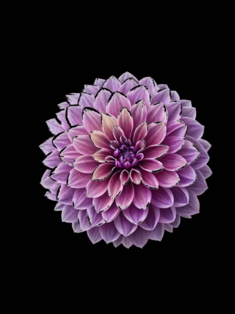 @𝐋𝐲𝐧𝐱.
