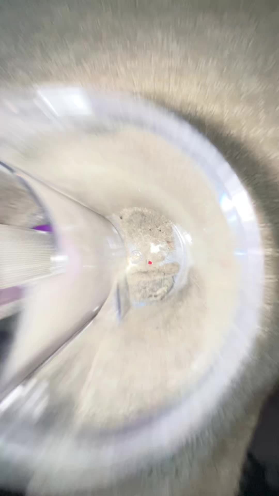 @gabrielwhittakerr