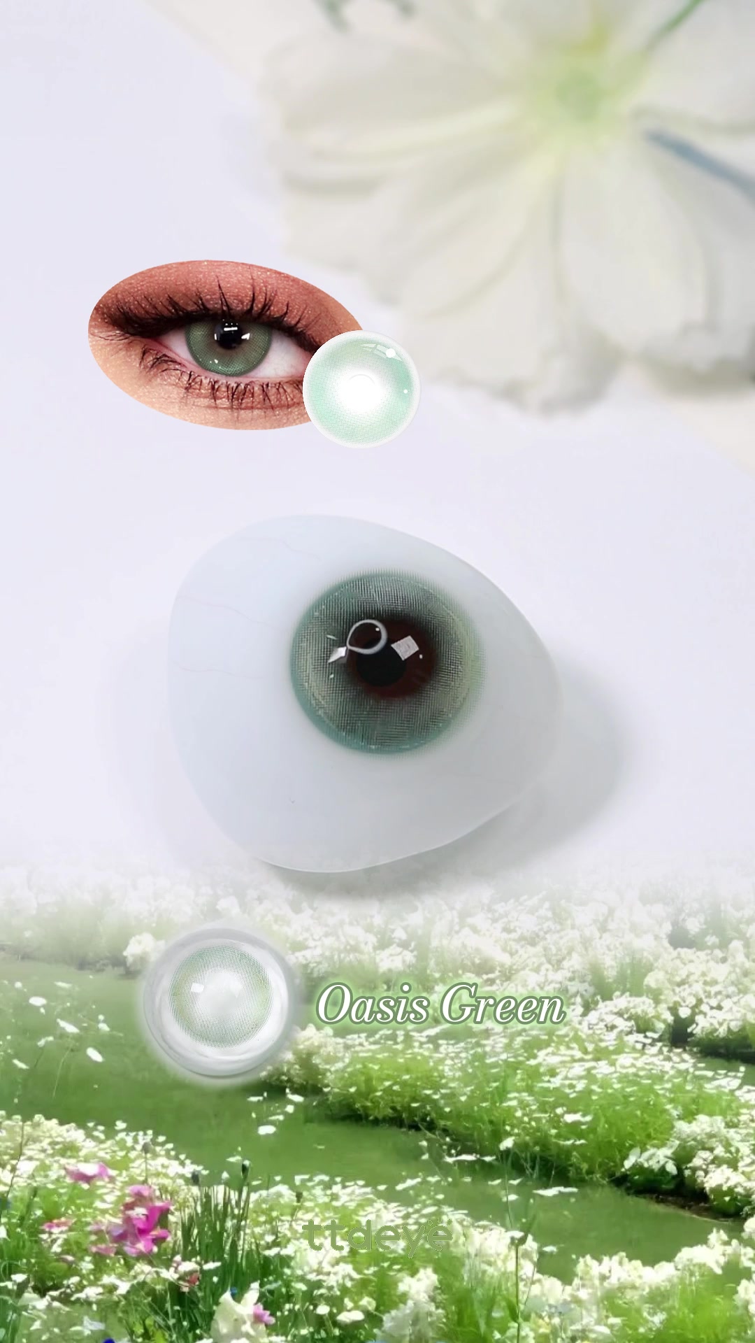 @TTDeye Colored Contact Lens