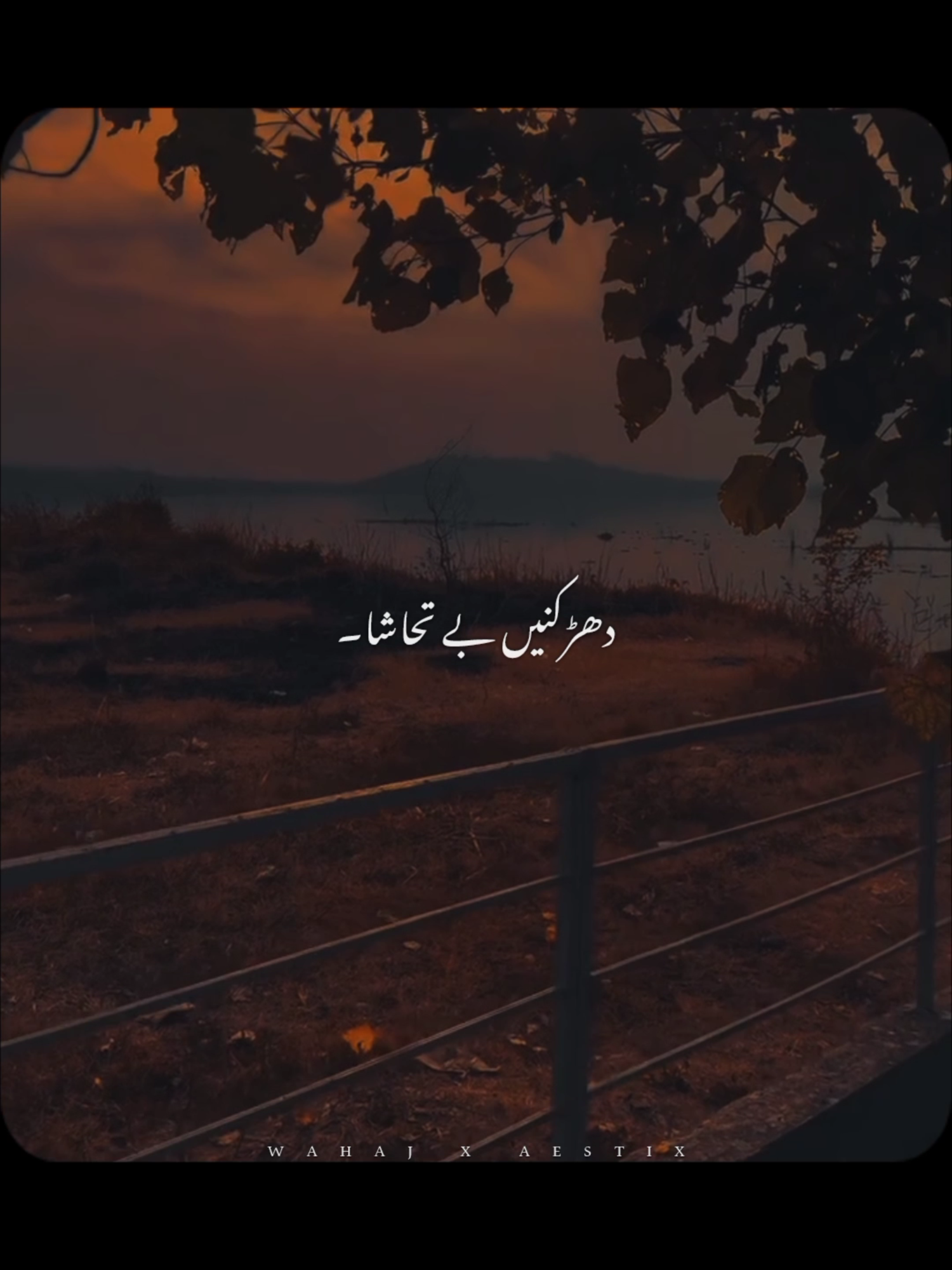 @𝙒 𝘼 𝙃 𝘼 𝙅 🕊️ &bull;