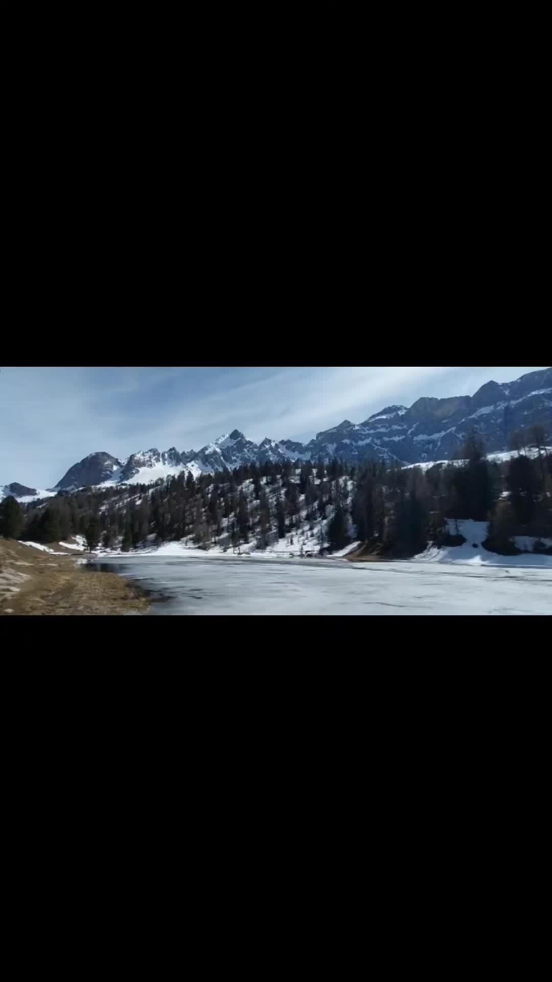 @wolfthebest