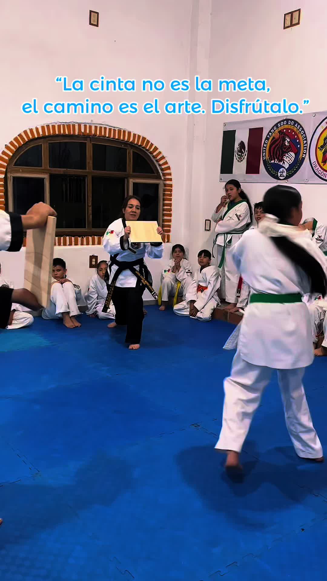 @DRAGON AZUL MÉXICO