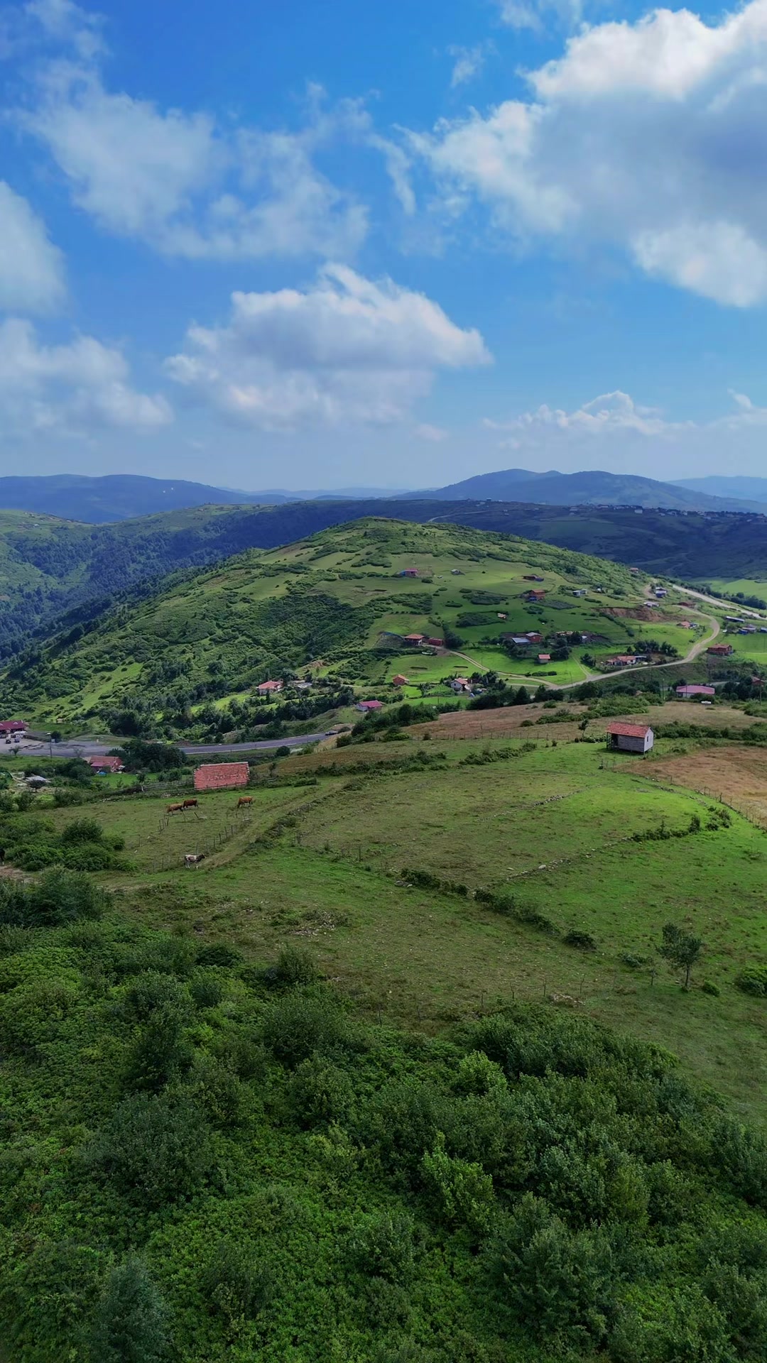 @ÇANAKCI HAYVANCILIK