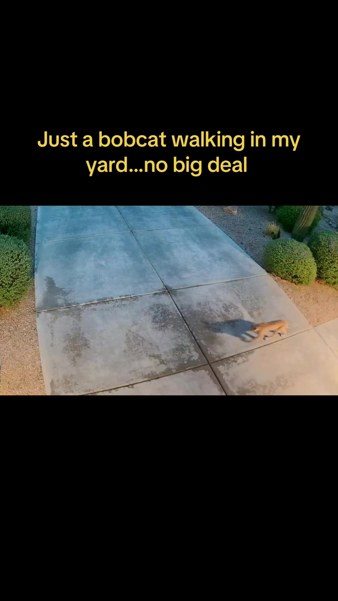 @desertgirly14