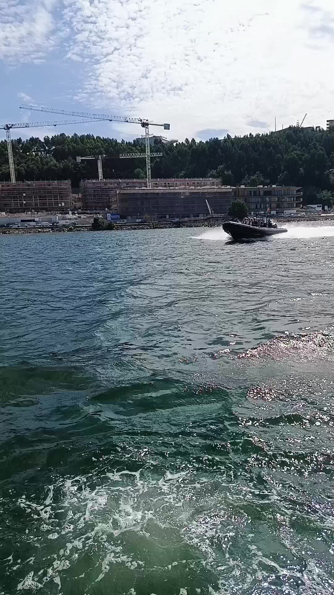 @porto ribeira