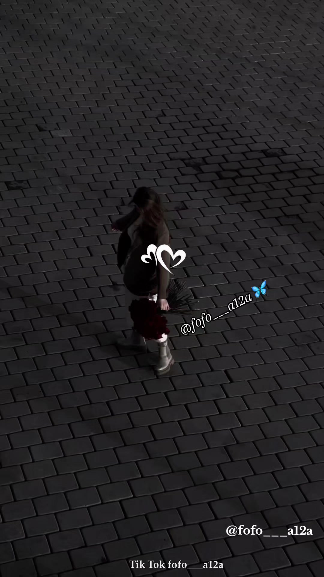 @✨🦋فراشـᬼ❥᭄❥ᬼـة🦋✨