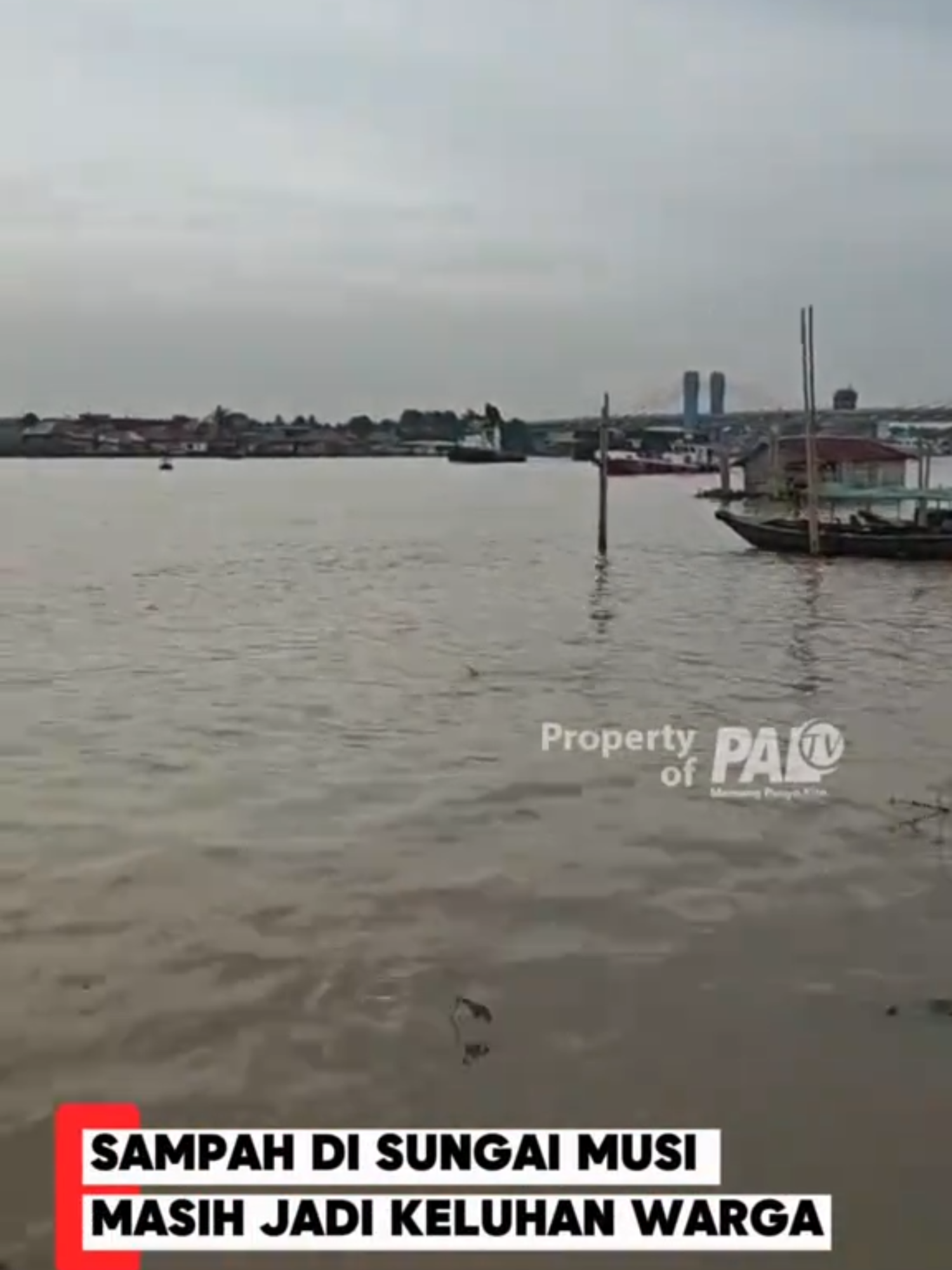 @Paltv-Memang Punyo Kito