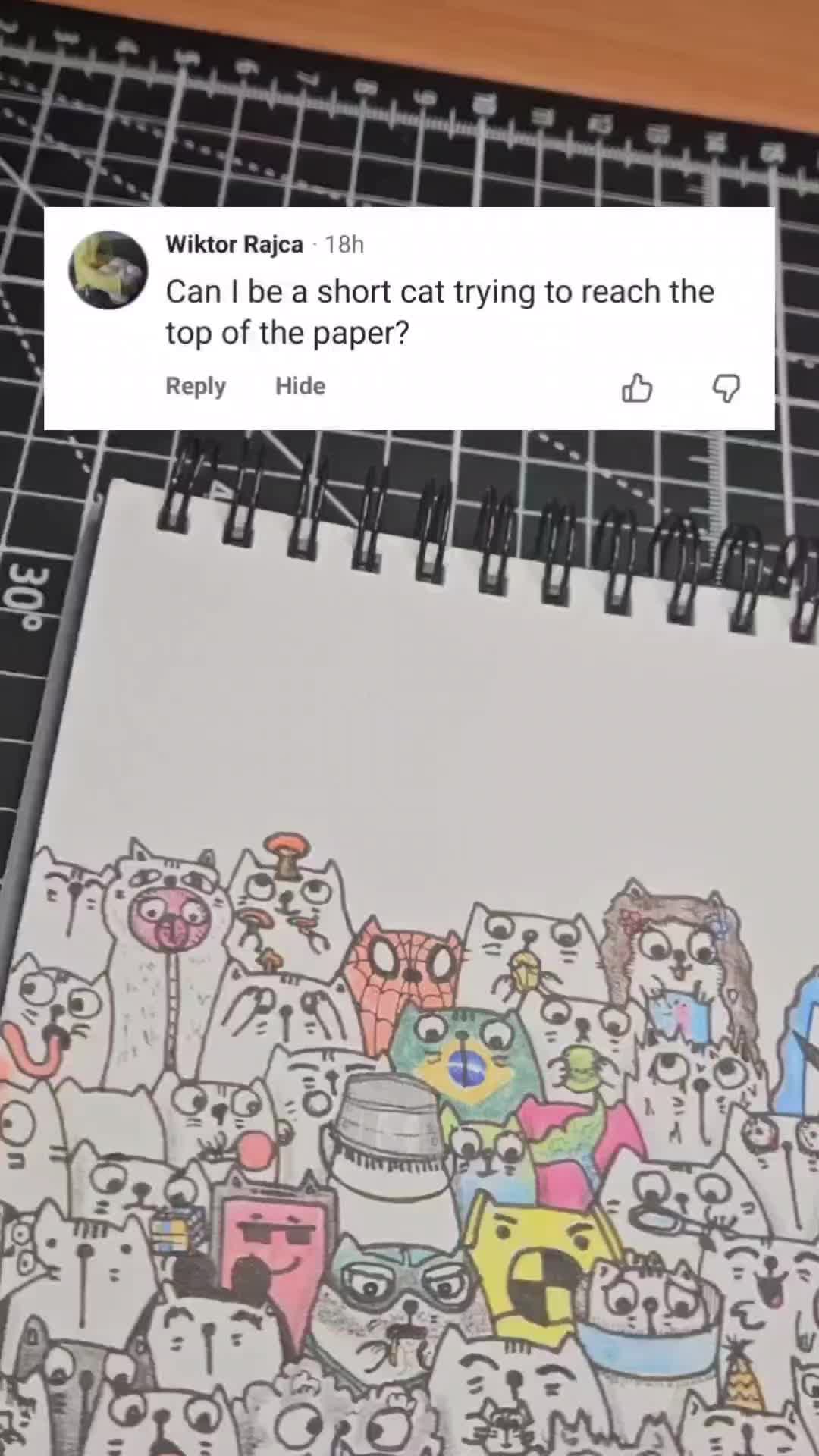 @StackofCatz