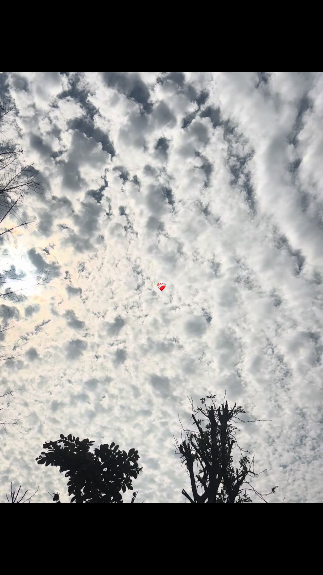 @नबिन 