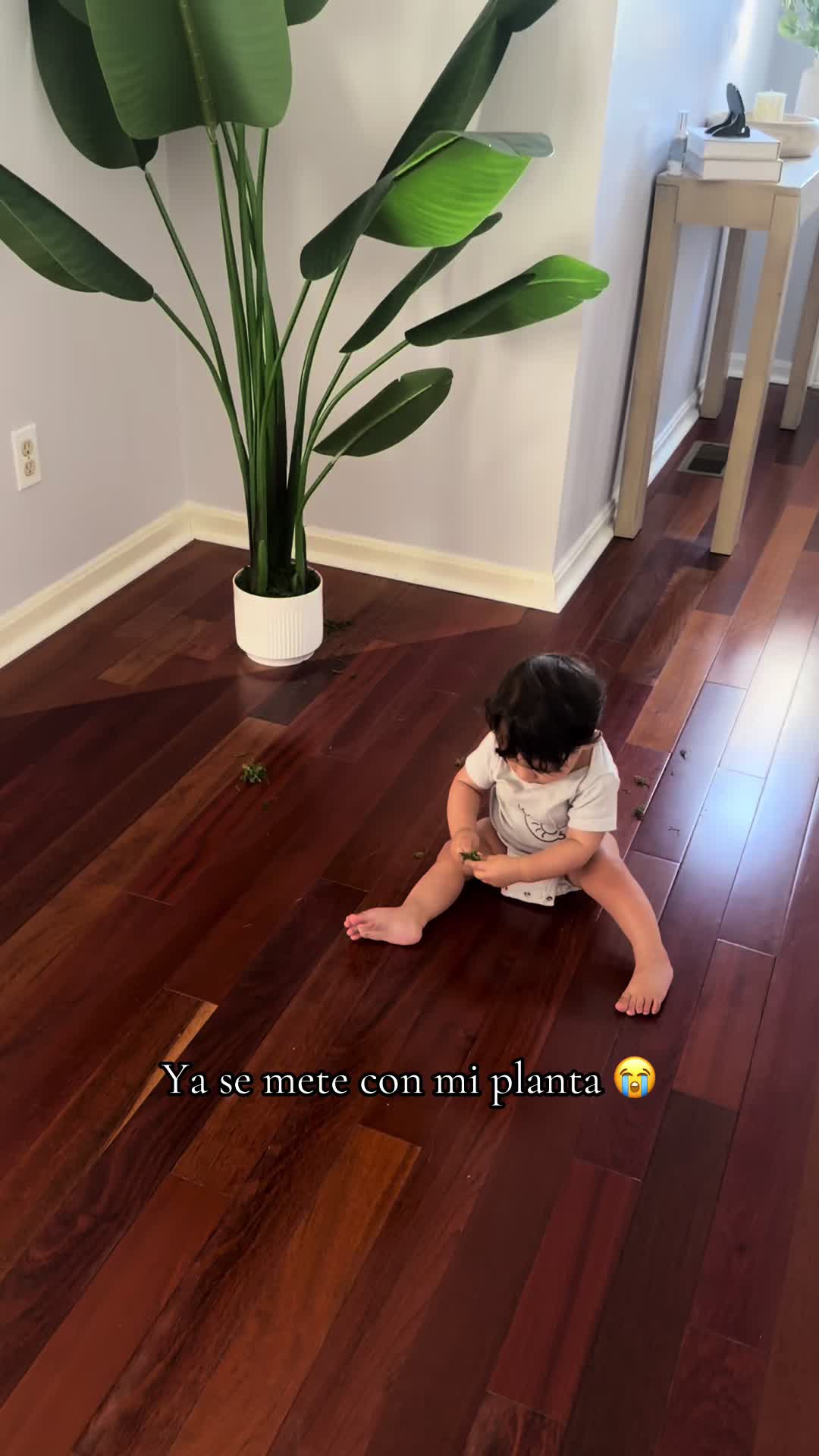 @Diana Molina