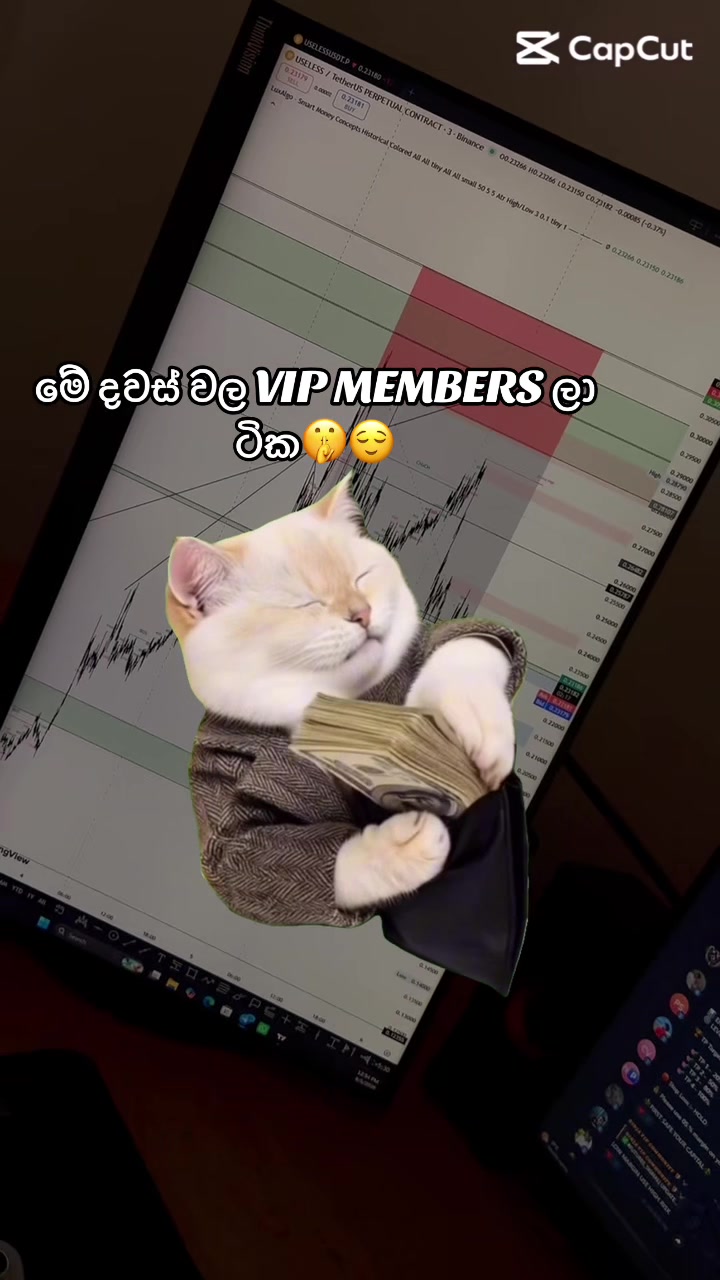 @NINJA VIP SIGNAL ☠️
