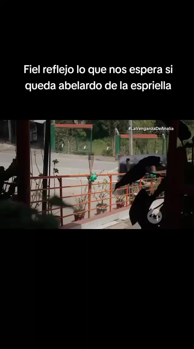 @carloszuñiga