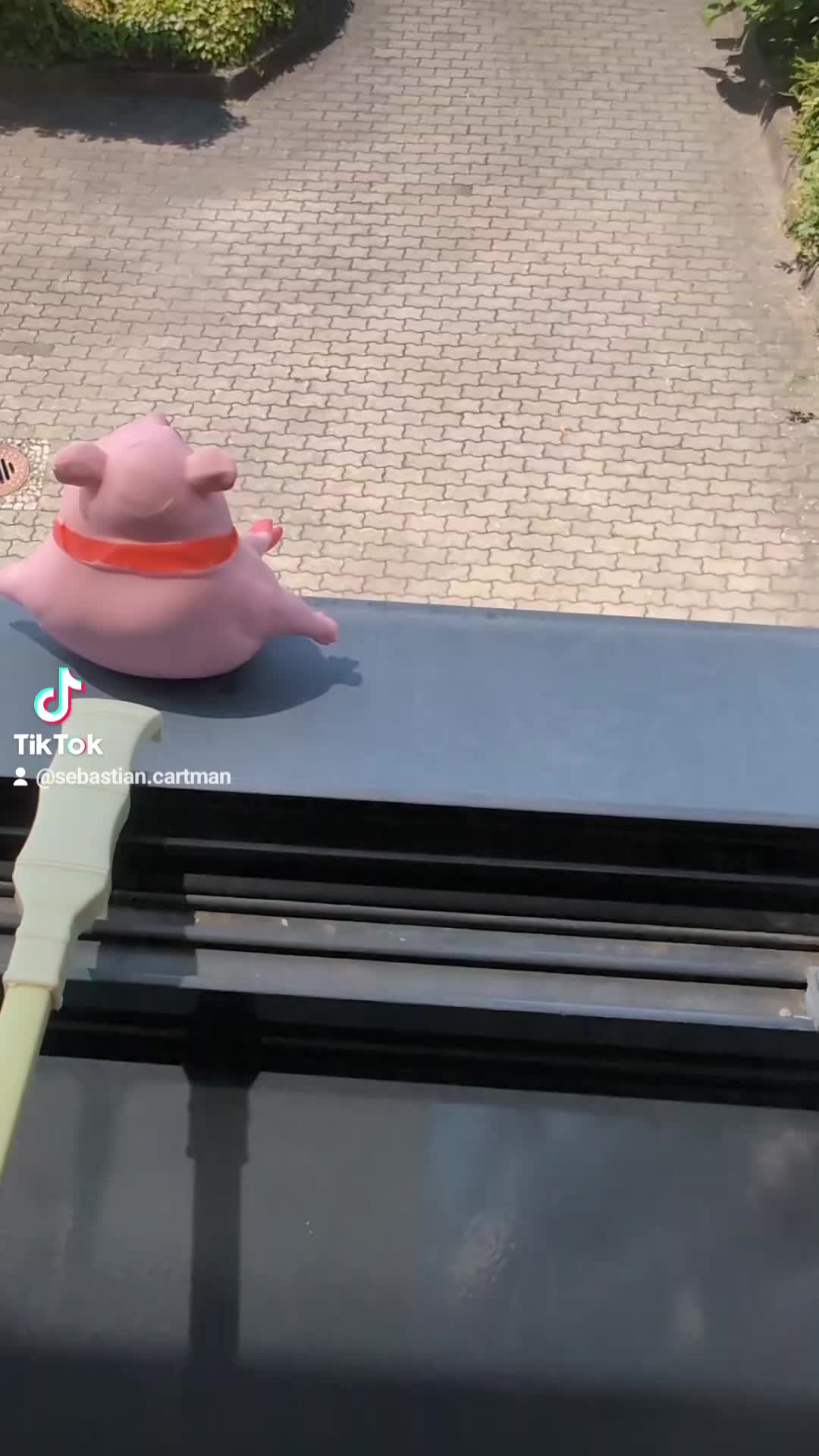 @sebastiancartman