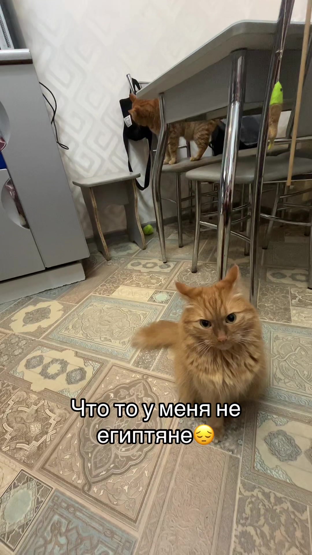 @тгк: Машка