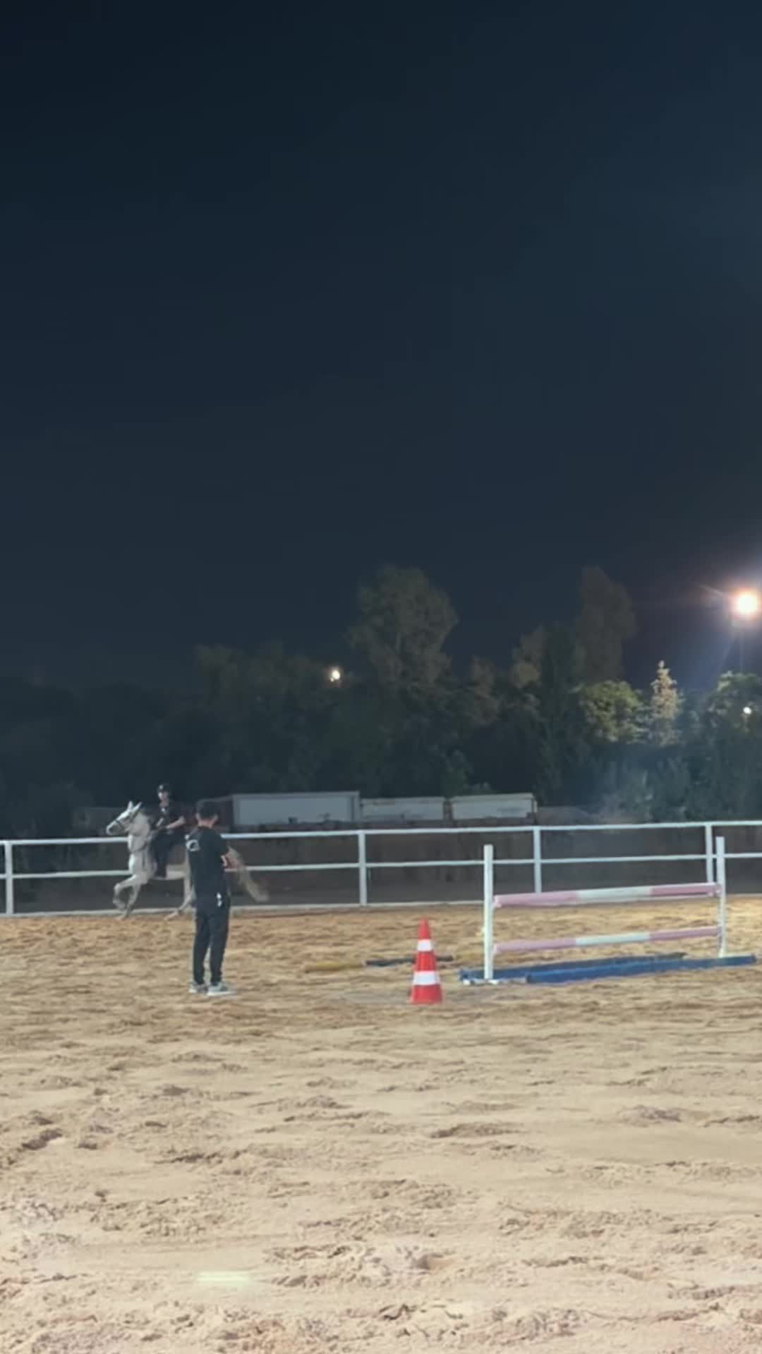 @حە مە🐎🫀