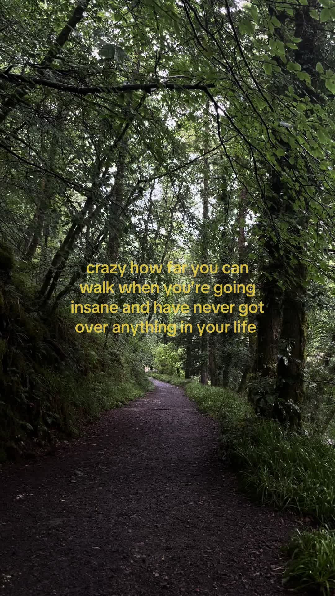 @justanotherhuman12