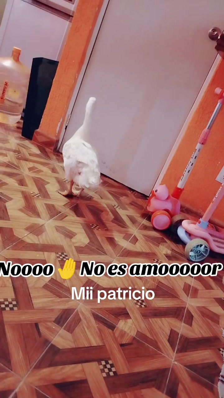 @vere