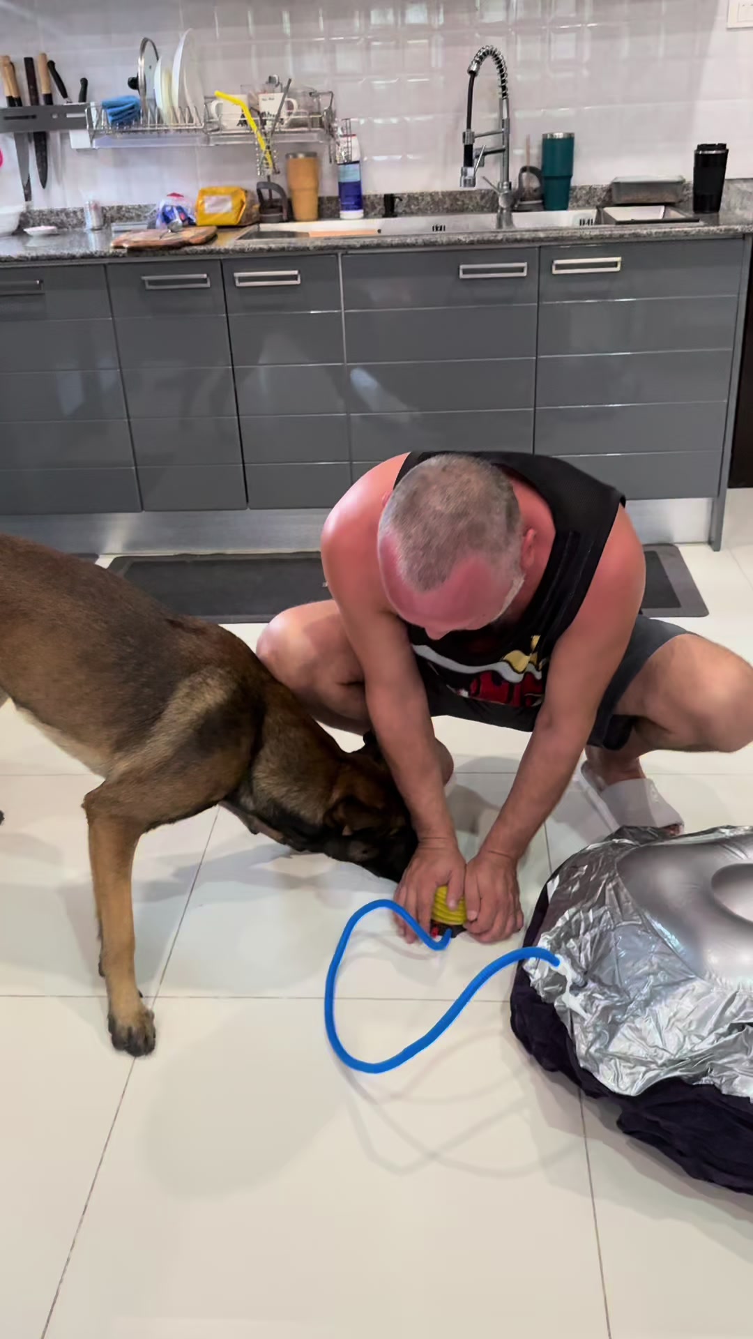 @doglifethailand