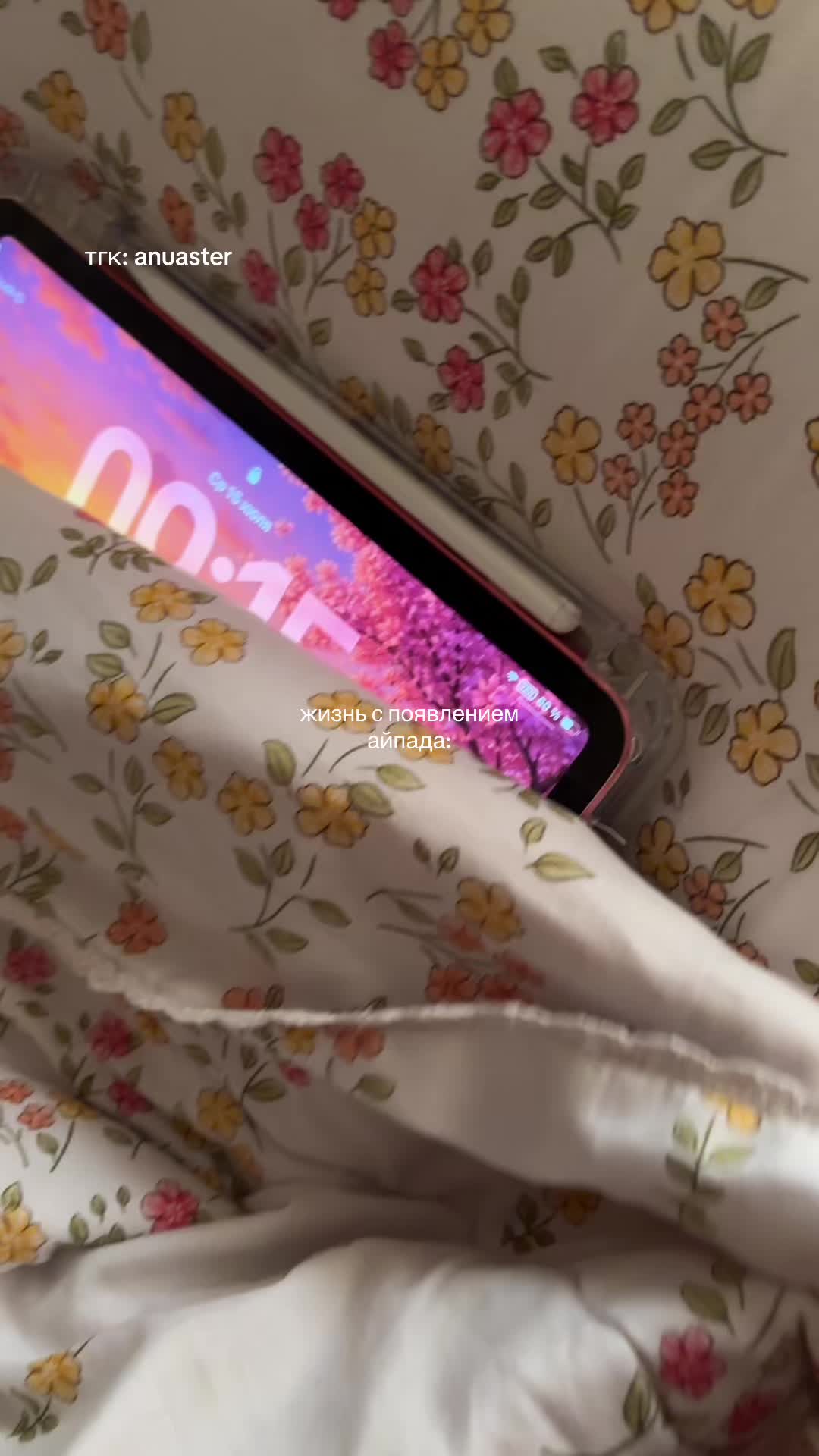 @anuastersss