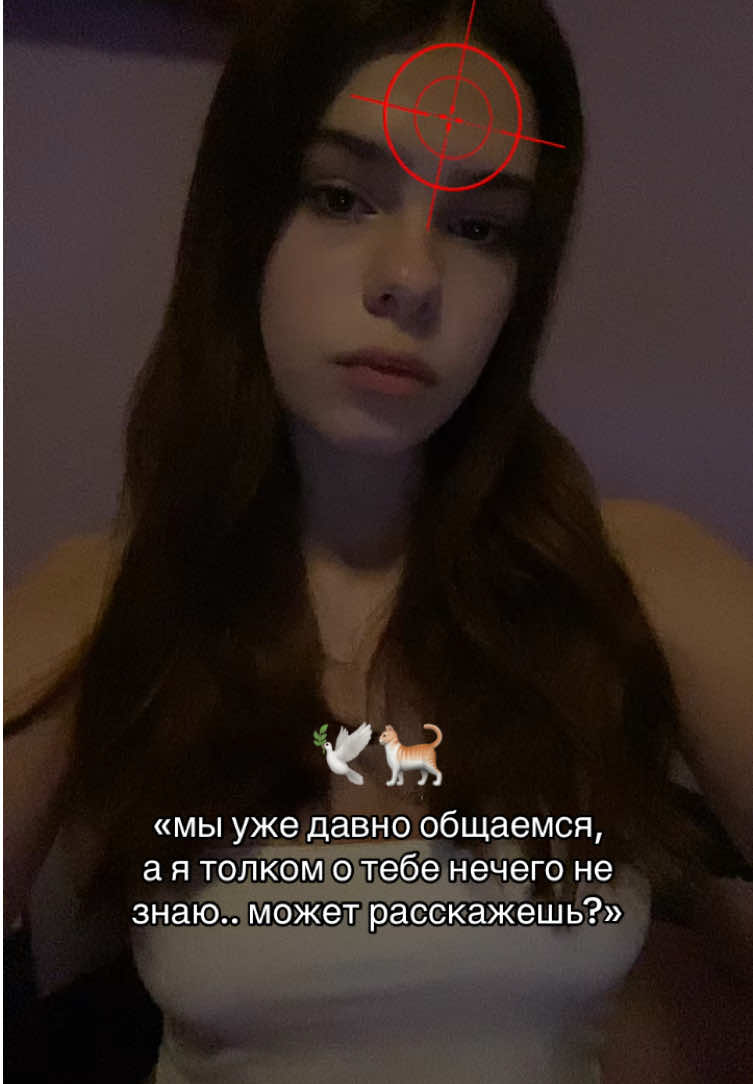 @kristiwql