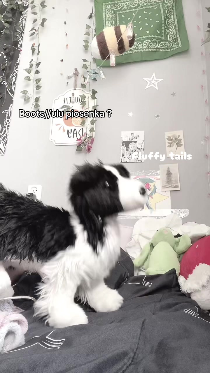 @⋆˚꩜。🌅Fluffy🍊tails🥥⋆.𐙚 ̊