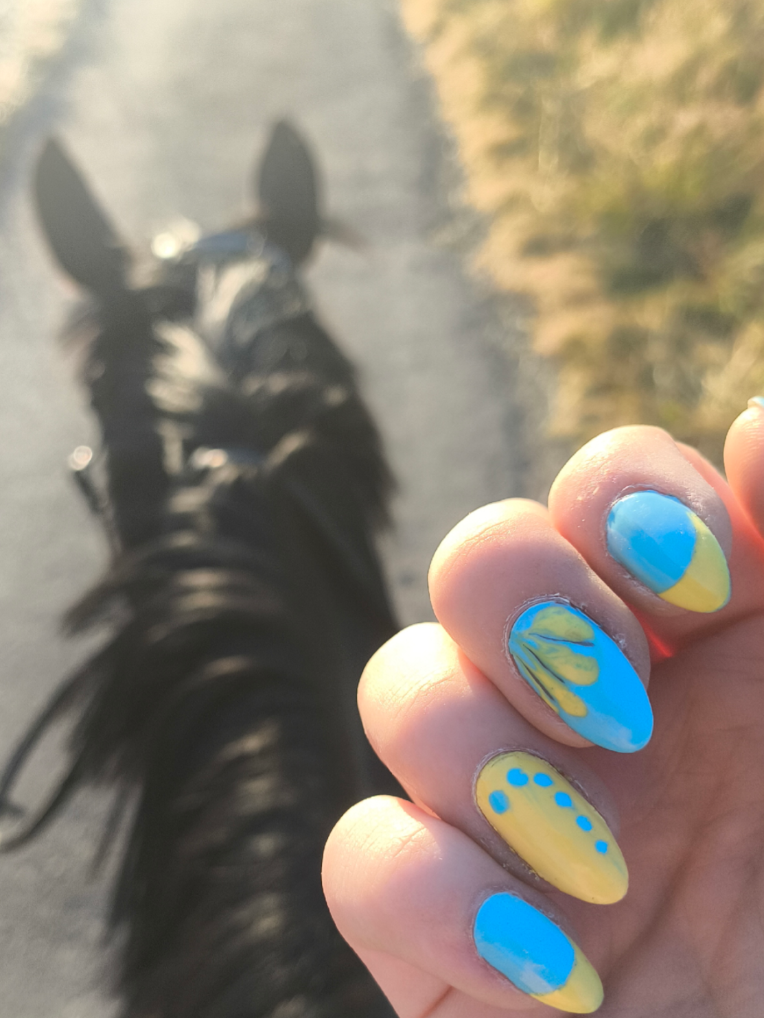 @Spring"Pony"Casha
