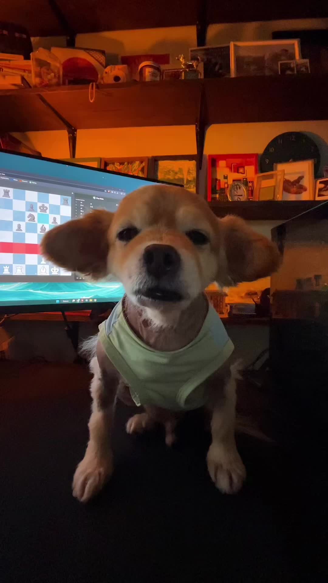 @kingpep