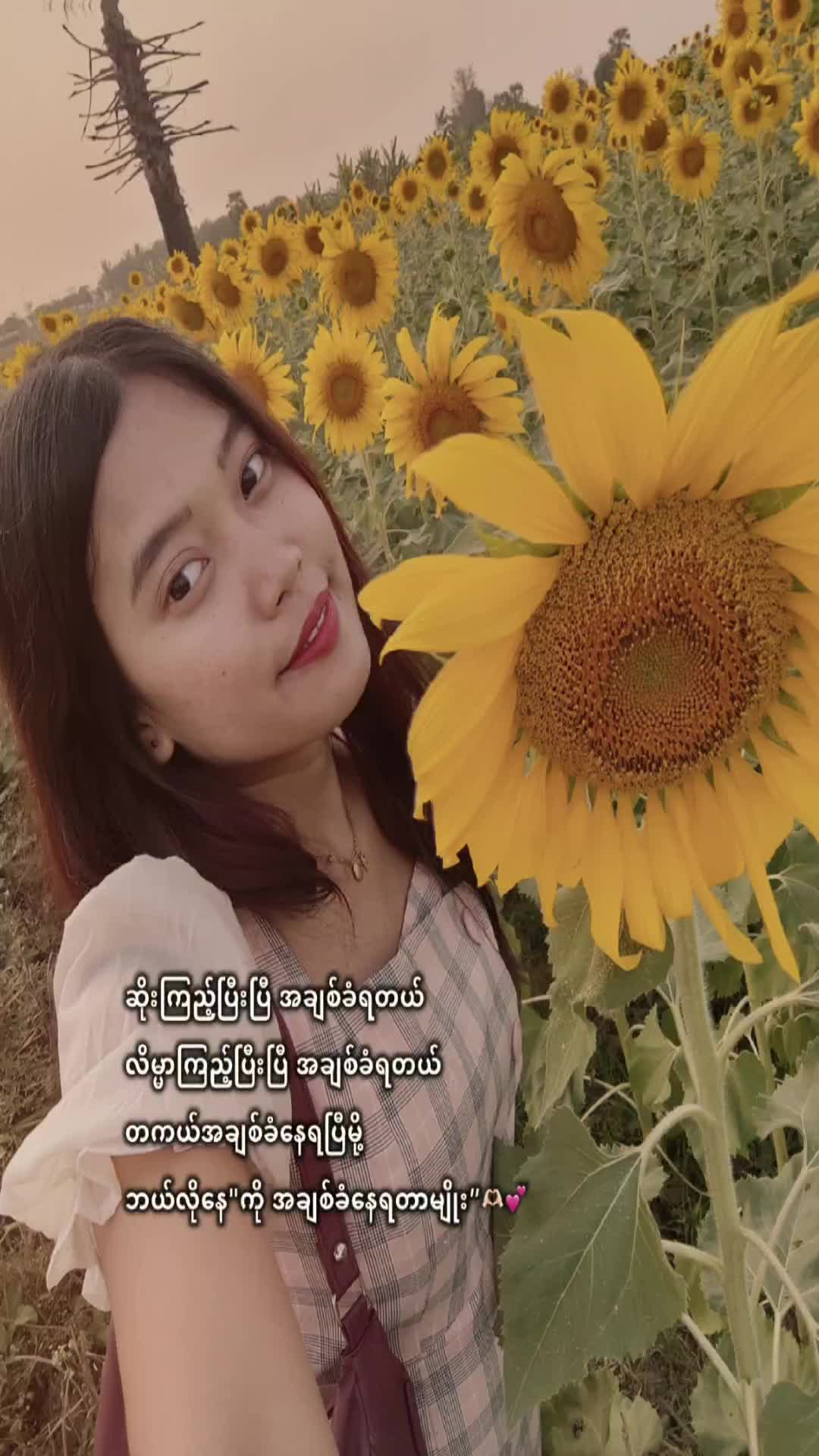 @đAyepa Pađ˛đ˛đ¸đŹ