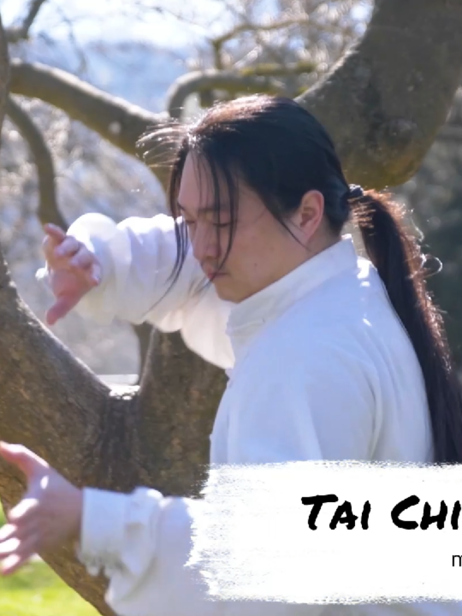 @TaiChi_Wingchun_PF