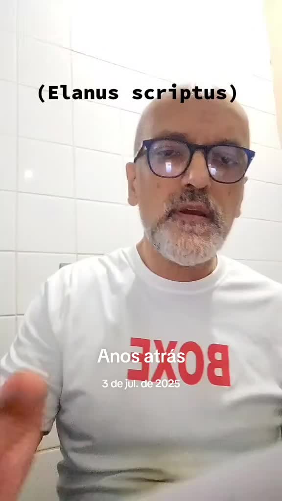 @Afonso Henrique