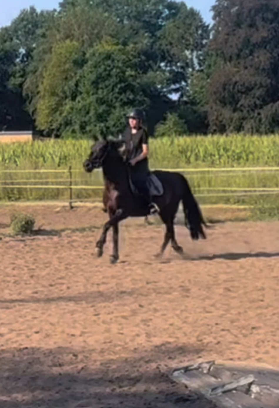 @Equi Roosje🇳🇱