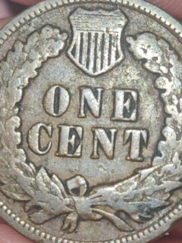 @Coin Collector 🪙