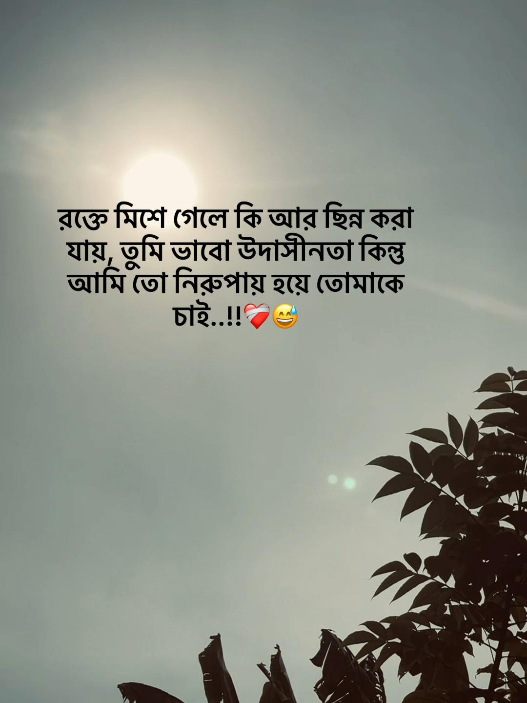 @S_A_Y_M_O_NđĨ°SAMMIHAđĨ°