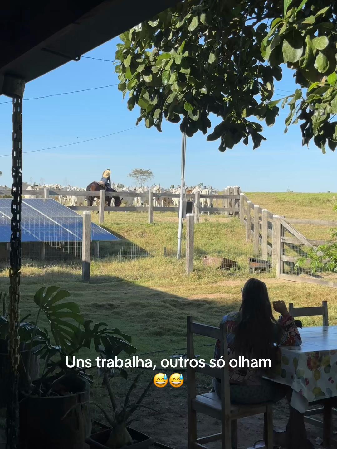 @Roseleide Vieira Lim