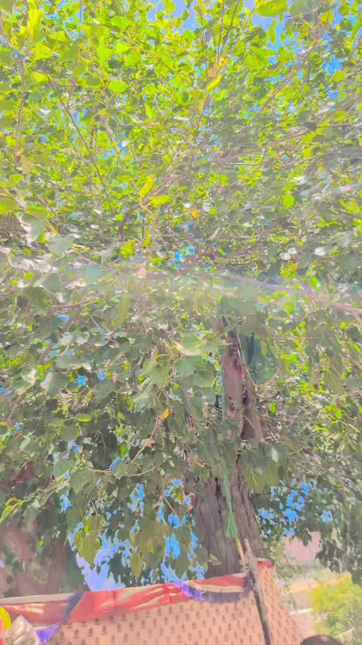 @Salman Khan
