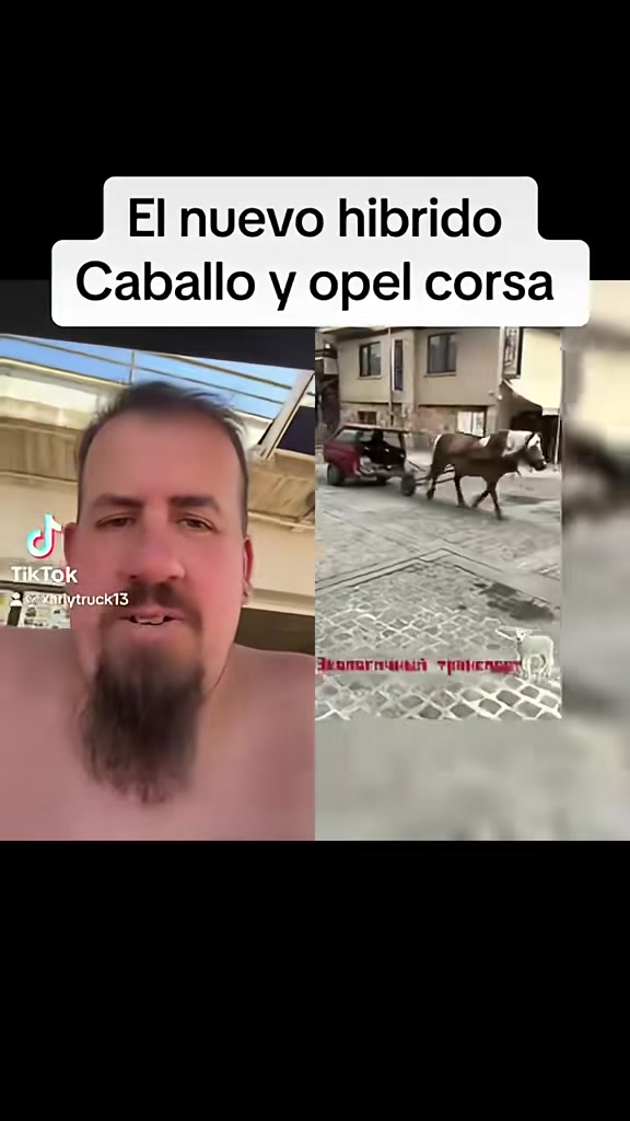 @Xarlytruck13