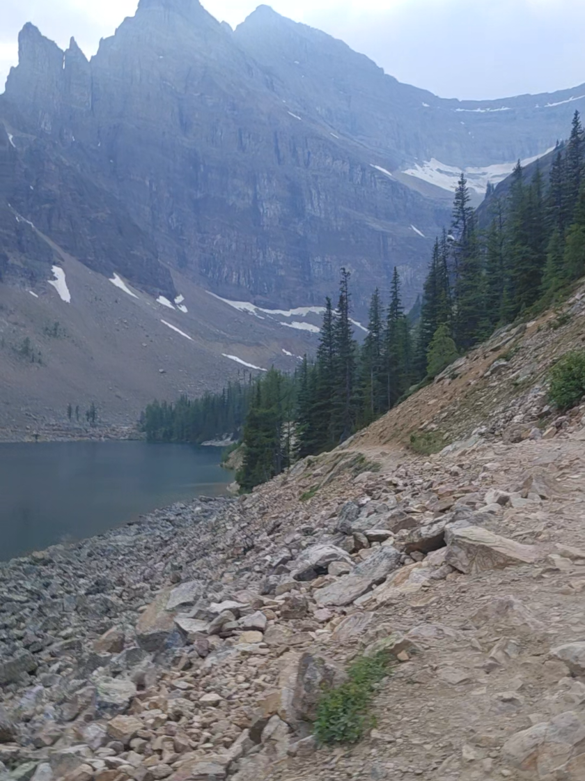 @Banff Trail Running & Wildlife