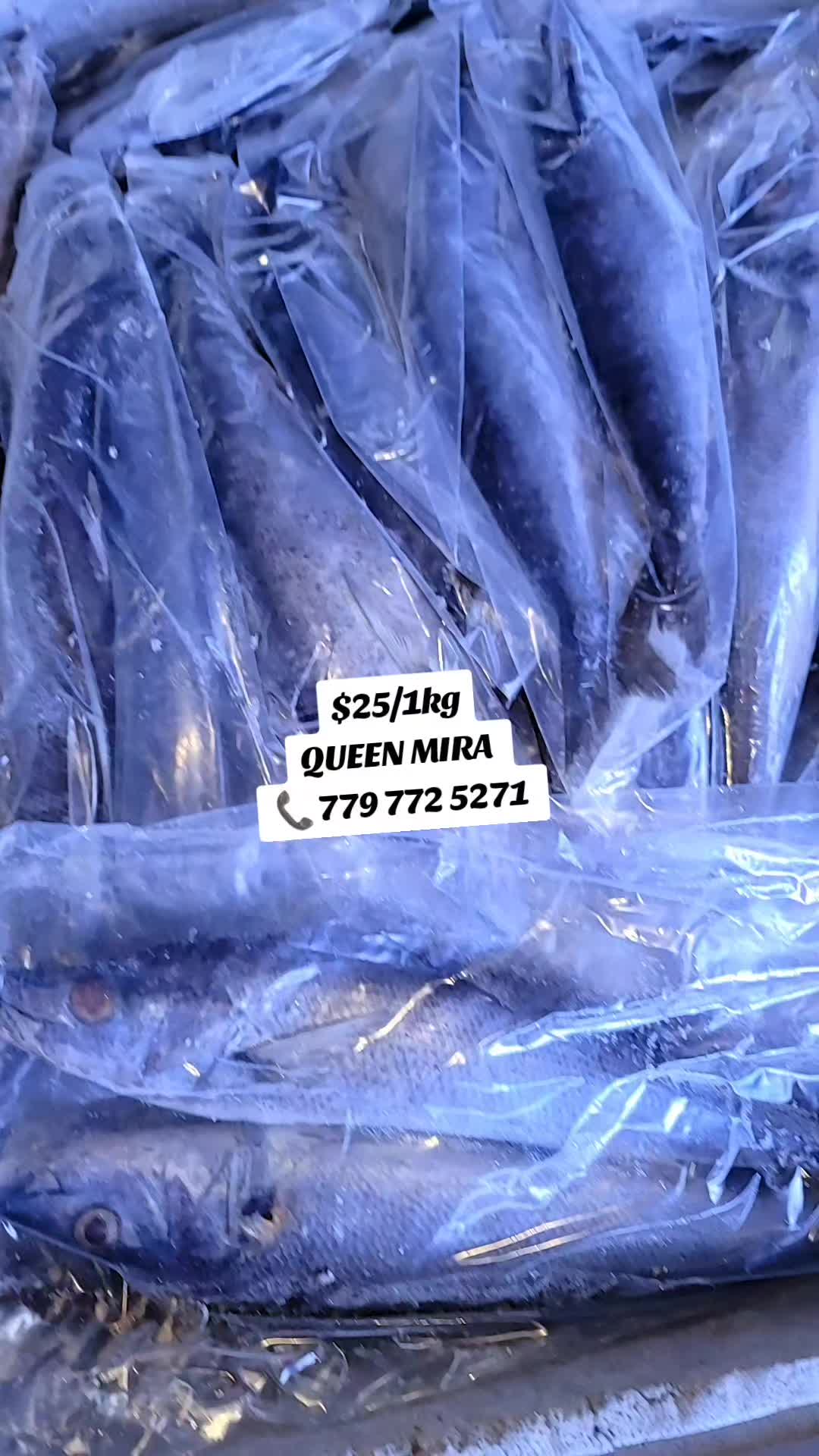 @KJ&QM BOUTIQUE